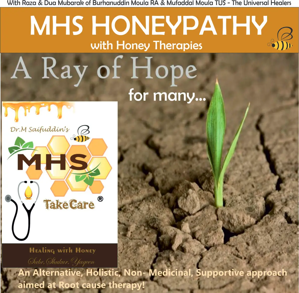 about mhs honeypathy